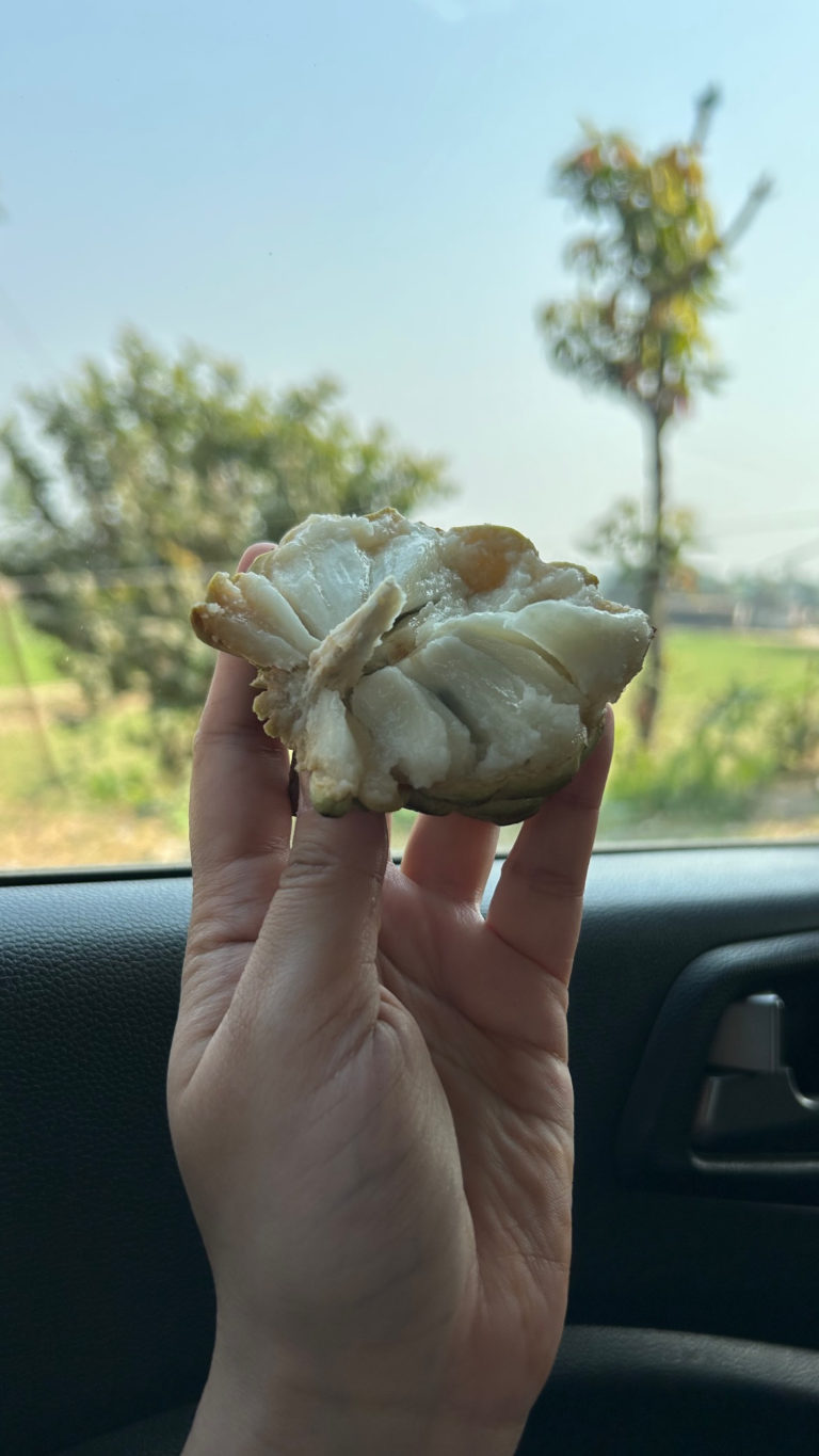 37D95980 A845 4489 9E25 DCD5A004C3EF 768x1365